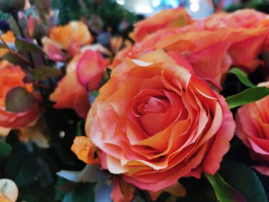 Halı gülü çiçek kumaş arka planda sahte çiçekler. Yüksek kalite fotoğraf