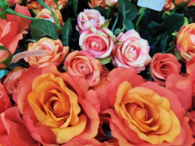 Halı gülü çiçek kumaş arka planda sahte çiçekler. Yüksek kalite fotoğraf