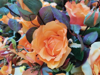 Halı gülü çiçek kumaş arka planda sahte çiçekler. Yüksek kalite fotoğraf