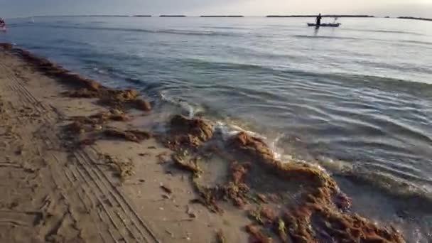 Playa Cesenatico Rimini Cubierta Algas Amanecer Este Agosto Imágenes Alta — Vídeos de Stock