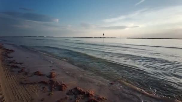 Plaża Cesenatico Pokryta Glonami Świcie Tego Sierpnia Wysokiej Jakości Materiał — Wideo stockowe