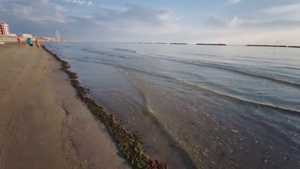 세세나 해변에 조류로 고품질 — 비디오