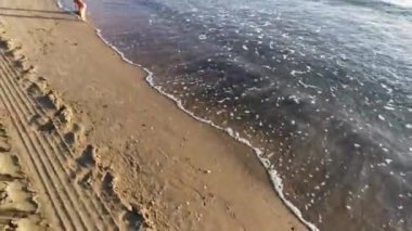 Şafakta algler için temizledikten sonra Cattolica plajında traktör lastiği izleri var. Yüksek kalite 4k görüntü