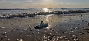 İtalyan plajı riccione reddinde terk edilmiş 19 cerrahi maske. Yüksek kalite