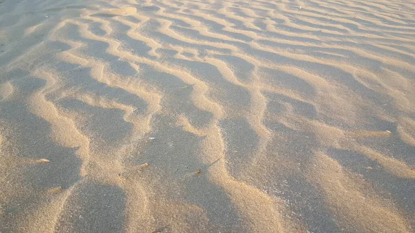 Zandduinen Het Strand Bij Zonsopgang Hoge Kwaliteit Foto — Stockfoto