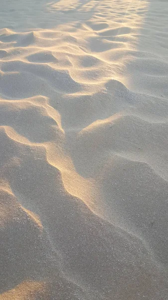 Sanddünen Strand Morgengrauen Hochwertiges Foto — Stockfoto