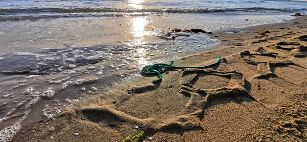 Playa Cesenatico Con Algas Orilla Foto Alta Calidad — Foto de Stock