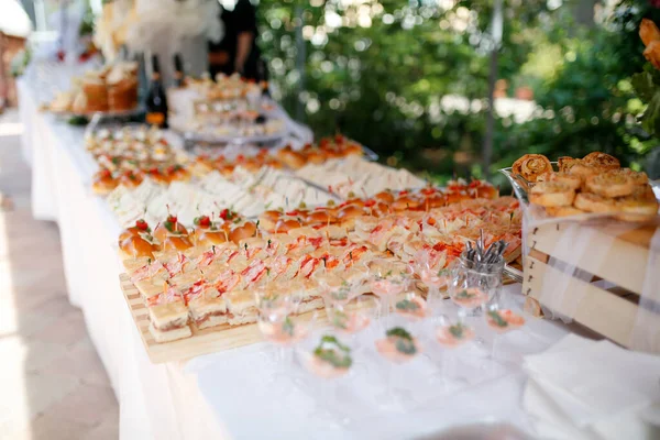 Düğün Için Açık Büfe Lezzetli Atıştırmalıklar Sandviçlerle Yüksek Kalite Fotoğraf — Stok fotoğraf