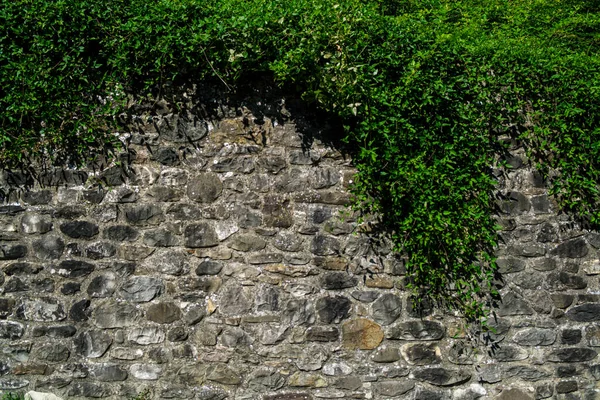 Old Stone Wall Brick Pattern Background Sunny Day Ivy — Stock Photo, Image