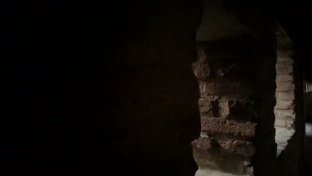 バルディ パルマの中世の城丘の景色を望む塔の歩道や廊下 高品質4K映像 — ストック動画