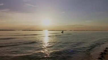 Güneş batarken sakin Adriyatik Denizi 'nde kürek çeken bir insanın huzurlu ve manzaralı görüntüsü suya güzel bir altın yansıma yansıtıyor. Riviera Romagnola Cesenatico Rini 'de. Yüksek kalite