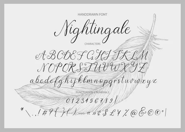 Nightingale. Handdrawn kaligrafické vektorové písmo. — Stockový vektor