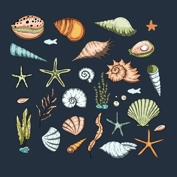 Ocean exotiska set med snäckskal och stjärnor. — Stock vektor