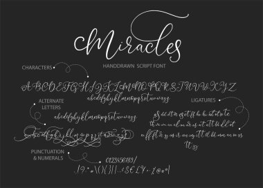 Hand drawn vector alphabet with letters, numbers, symbols. clipart