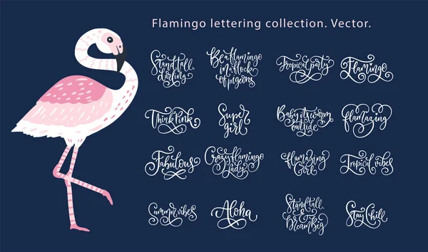 Summer lettering flamingo girly vector set. — Stock Vector