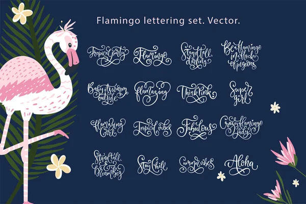 Verano letras Flamingo vector conjunto. — Vector de stock