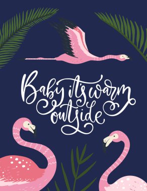 Flamingo kuş vektör kartı.