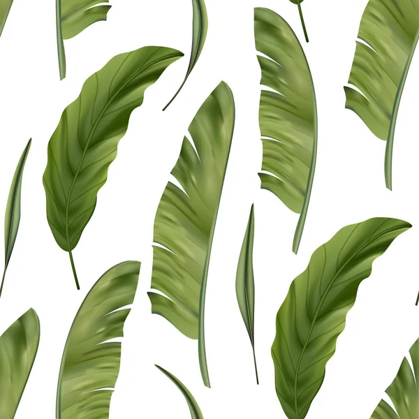 Tropik palmiye vektörü pürüzsüz desen. — Stok Vektör