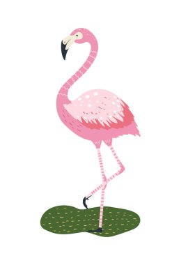 Flamingo vektör çizgi film karakteri.