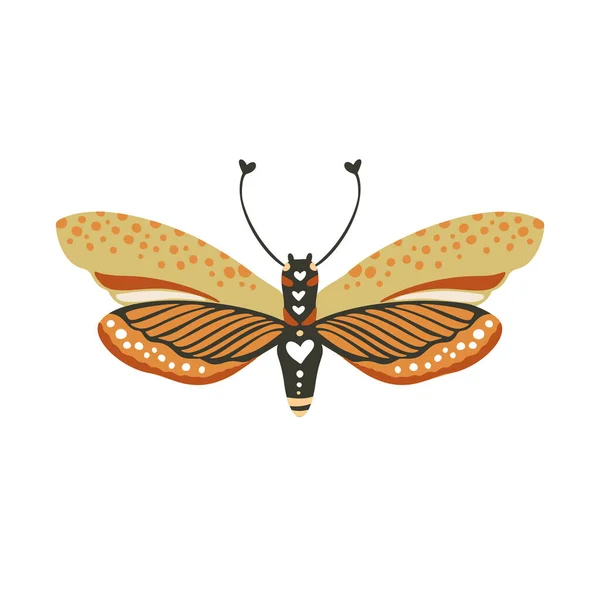 蝶のベクトル. — ストックベクタ