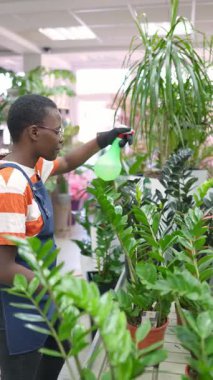 Florist taking care of plants, spraying water on leaves in a flower shop