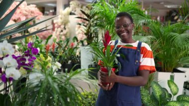 Young florist holding a guzmania plant smiling at camera footage