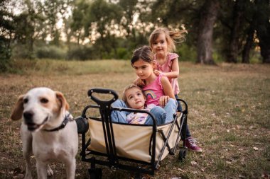 Three little girls having fun in a wagon pulled by a dog in a park