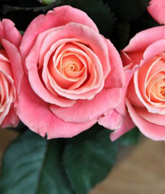 gül çiçekleri buket kapalı yakın 