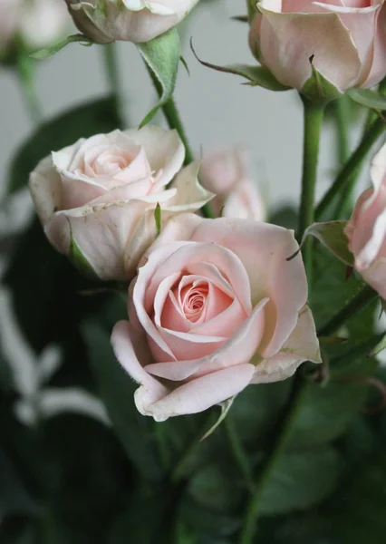Gros Plan Bouquet Fleurs Rose Intérieur — Photo