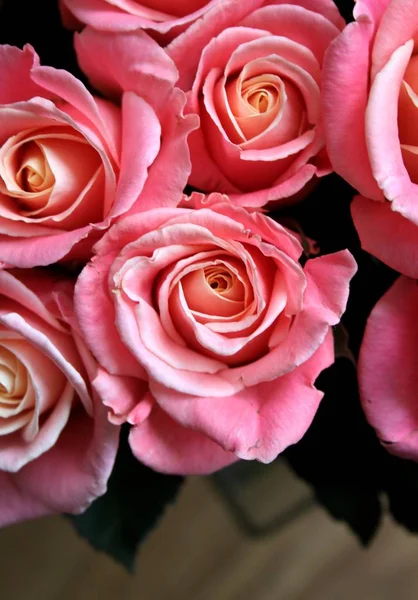 Närbild Rosen Blommor Bukett Inomhus — Stockfoto