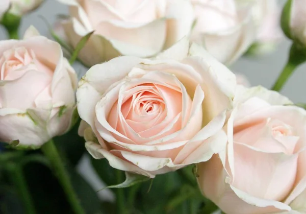Nahaufnahme Von Rosenblüten Bouquet Drinnen — Stockfoto