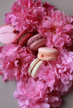 Pembe şakayıklar ve kurabiyeler tatlı düz fotoğraf, pasta reklamı fotoğrafı, yemek sanatı fotoğrafı.