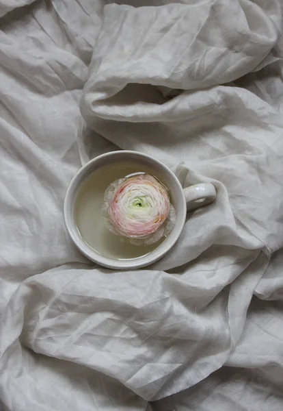 Крупним Планом Біла Чашка Трояндовою Квіткою — стокове фото