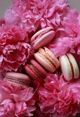 Pembe şakayıklar ve kurabiyeler tatlı düz fotoğraf, pasta reklamı fotoğrafı, yemek sanatı fotoğrafı.