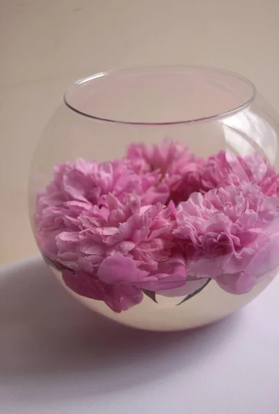 Närbild Rosa Pioner Blommor Glasvas — Stockfoto