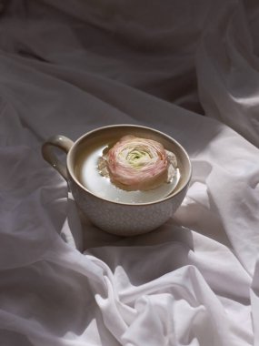 Gül çiçekli beyaz bardağa yaklaş