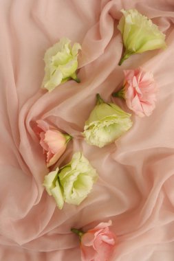 Güzel çiçek arkaplanı, yakın plan. Stüdyo çekimi