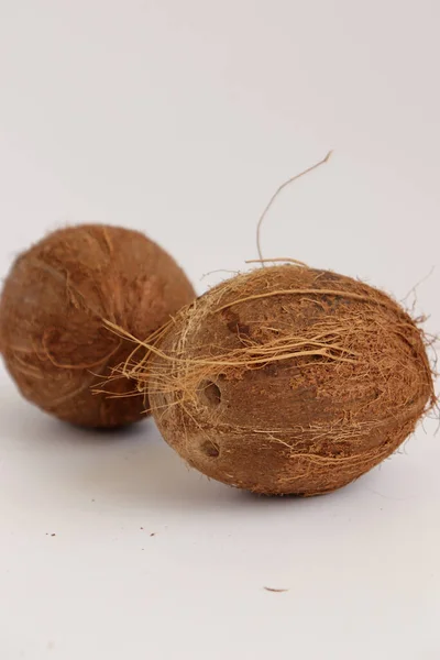 Coconuts Close Studio Shot — Stock Photo, Image