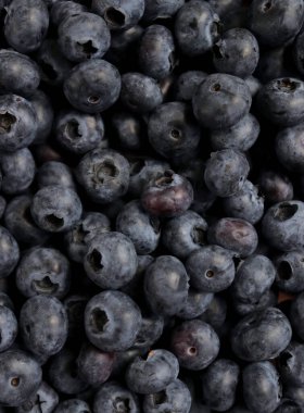 Taze olgun yaban mersini arka planı, yakın plan.