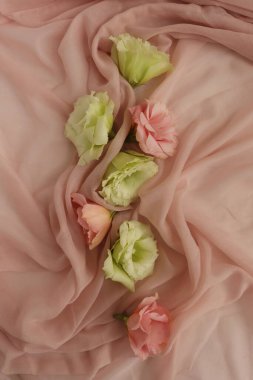 Güzel çiçek arkaplanı, yakın plan. Stüdyo çekimi