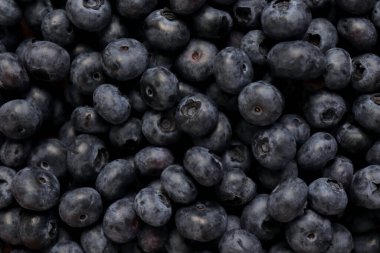 Taze olgun yaban mersini arka planı, yakın plan.