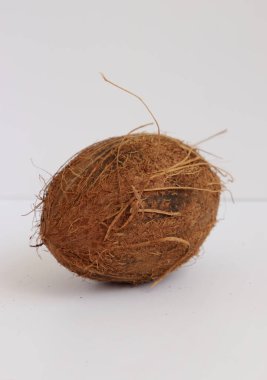 Hindistan cevizi yakın çekim, stüdyo çekimi