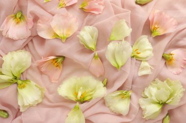 Güzel çiçek arkaplanı, yakın plan. Stüdyo çekimi