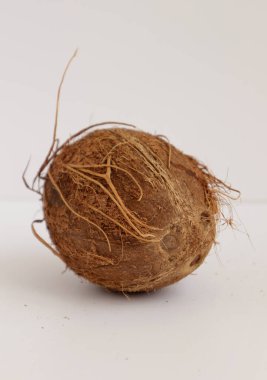 Hindistan cevizi yakın çekim, stüdyo çekimi