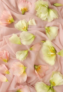 Güzel çiçek arkaplanı, yakın plan. Stüdyo çekimi