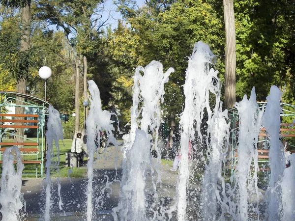 音楽的な噴水 水のジェット機は上向きに打つこと 公園を歩く — ストック写真