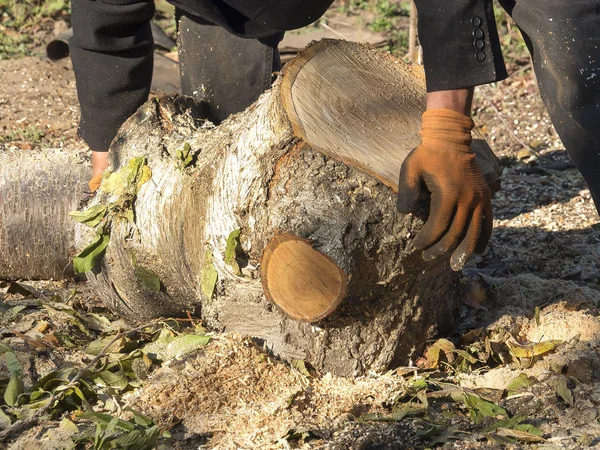 Bir adam bahçede çalışıyor. Kuru günlükleri ve dalları, yüzey temizleme çeker.