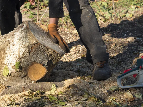 Bir adam bahçede çalışıyor. Kuru günlükleri ve dalları, yüzey temizleme çeker.