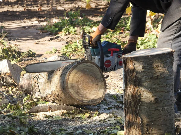 Bir adam bahçede çalışıyor. Testere ile ağaç aşağı keser.