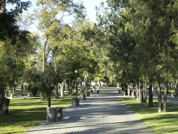 Městský Park Zelené Stromy Podél Chodníků Pouliční Lampy Lavičky Dálce — Stock fotografie